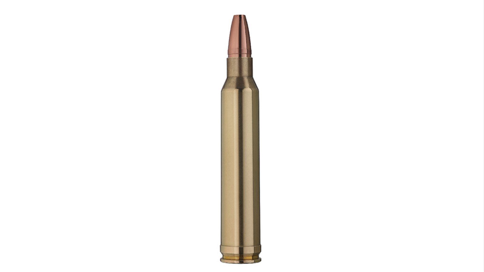 Single bullet view of GECO .300 Win. Mag. STAR 10,7g