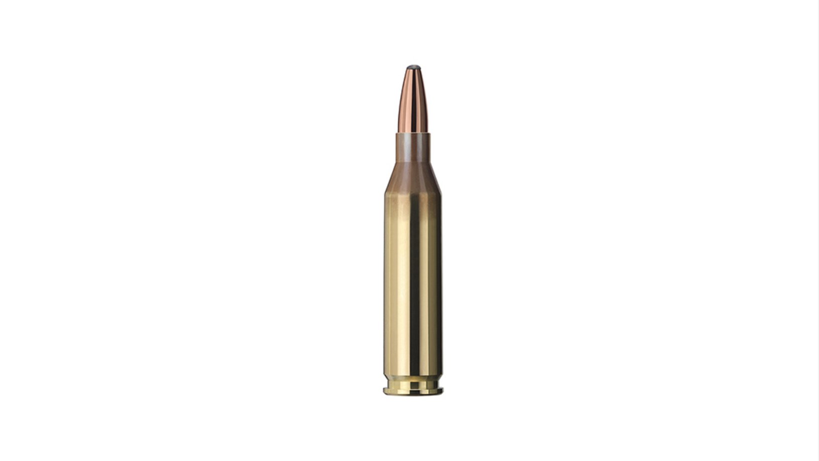 Single bullet view of GECO .243 Win. SOFTPOINT 6,8g