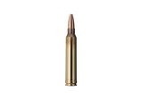 Single bullet view of GECO .300 Win. Mag. PLUS 11,0g