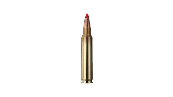 Single bullet view of GECO .223 Rem. EXPRESS 3,6g