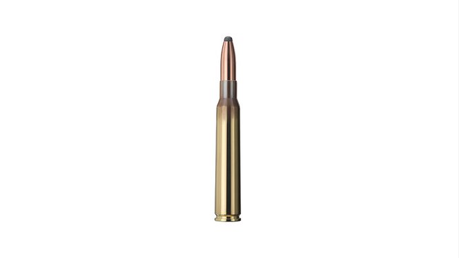 Single bullet view of GECO 7x64 SOFTPOINT 10,7g