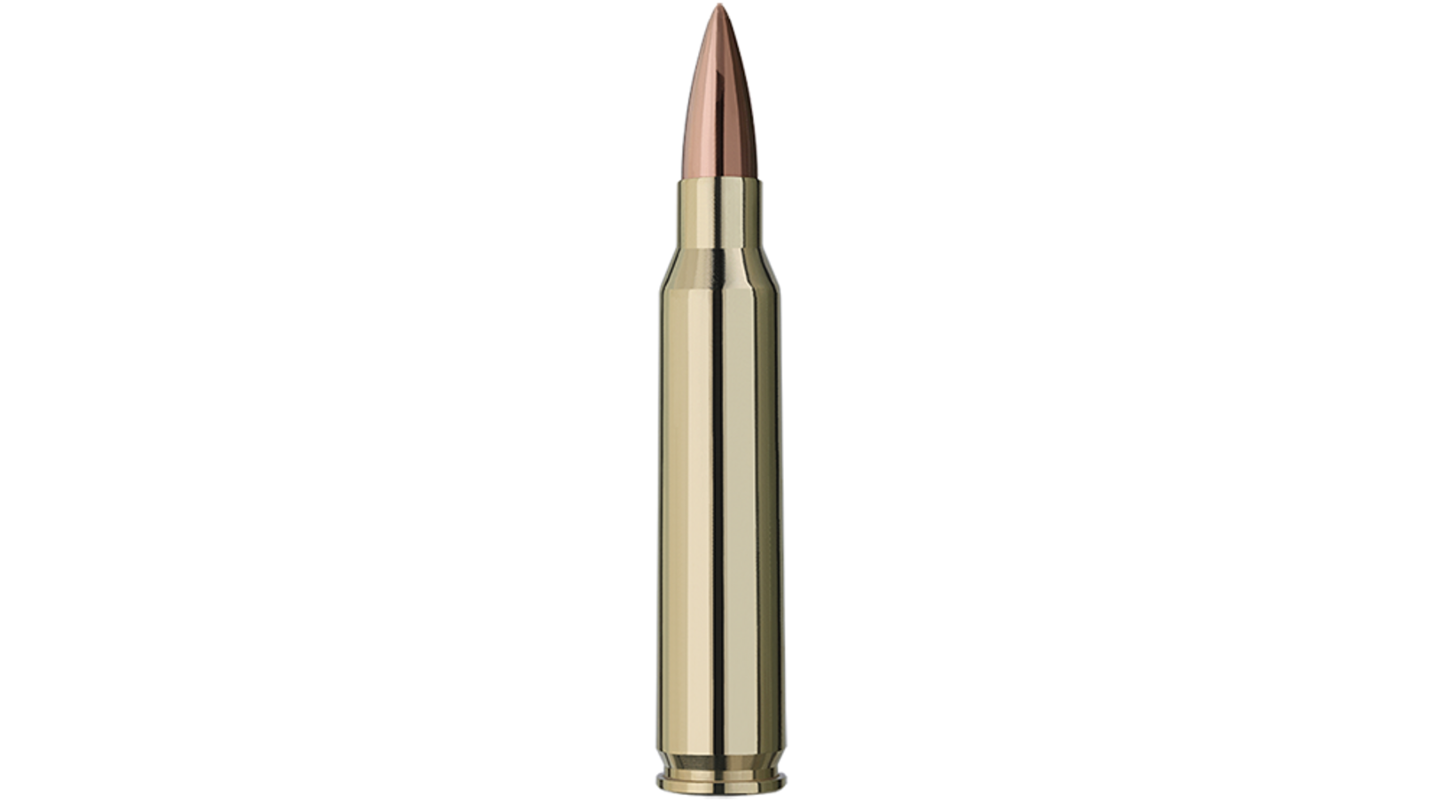 Single bullet view of GECO .223 Rem. DTX 3,6g