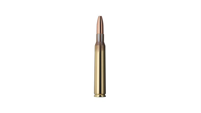 Single bullet view of GECO 7x64 PLUS 11,0g