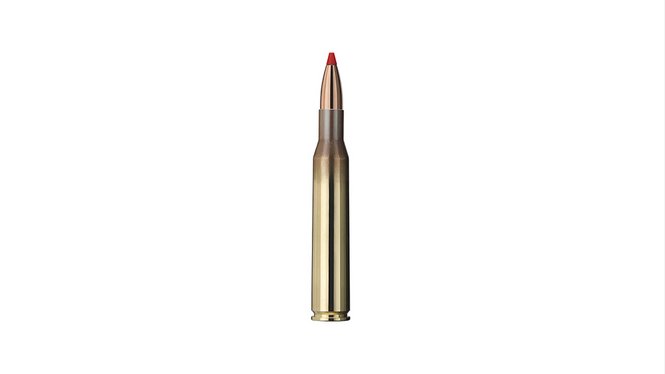 Single bullet view of GECO .270 Win. EXPRESS 8,4g