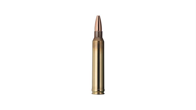 Single bullet view of GECO .300 Win. Mag. PLUS 11,0g