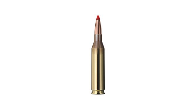 Single bullet view of GECO .243 Win. EXPRESS 4,9g
