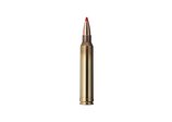 Single bullet view of GECO .300 Win. Mag. EXPRESS 10,7g