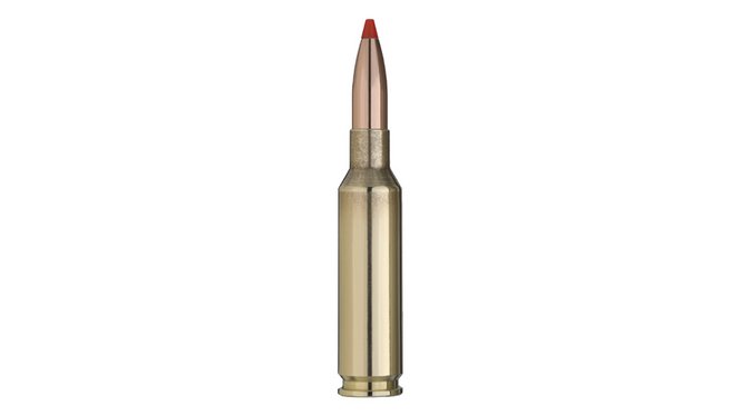 Single bullet view of GECO 6,5 Creedmoor EXPRESS 9,1g