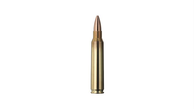 Single bullet view of GECO .223 Rem. TARGET FMJ 3,6g