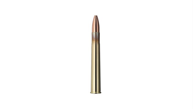 Single bullet view of GECO 9,3x74 R PLUS 16,5g