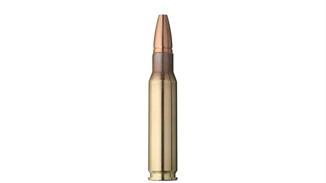 Single bullet view of GECO .308 Win. ZERO 8,8g