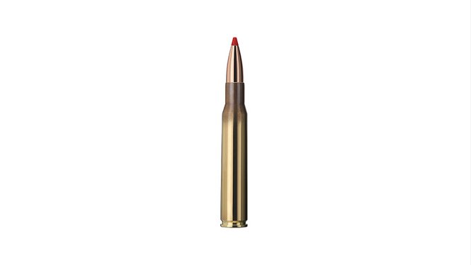 Single bullet view of GECO .30-06 EXPRESS 10,7g