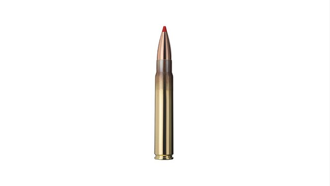 Single bullet view of GECO 9,3x62 EXPRESS 16,5g