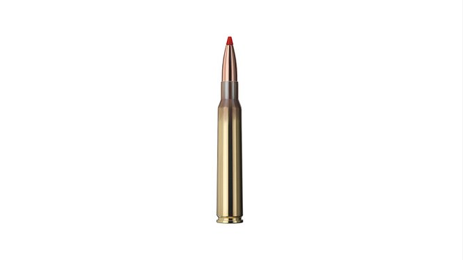 Single bullet view of GECO 7x64 EXPRESS 10,0g