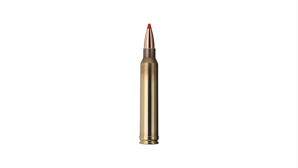Cartridge of GECO .300 Win. Mag. EXPRESS 10,7g Single bullet view of GECO .300 Win. Mag. EXPRESS 10,7g