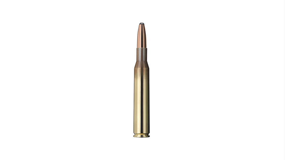Single bullet view of GECO .270 Win. Softpoint 9,1g