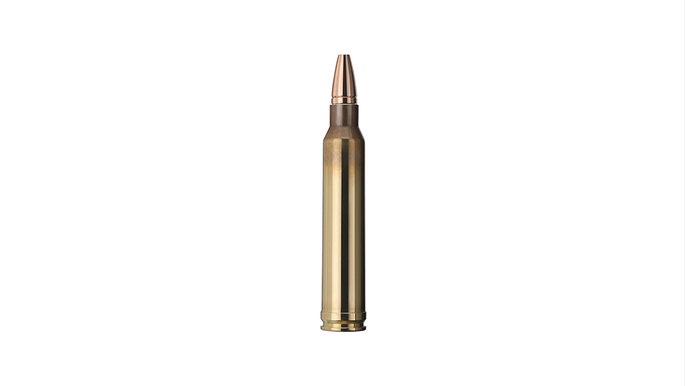 Single bullet view of GECO .300 Win. Mag. ZERO 8,8g