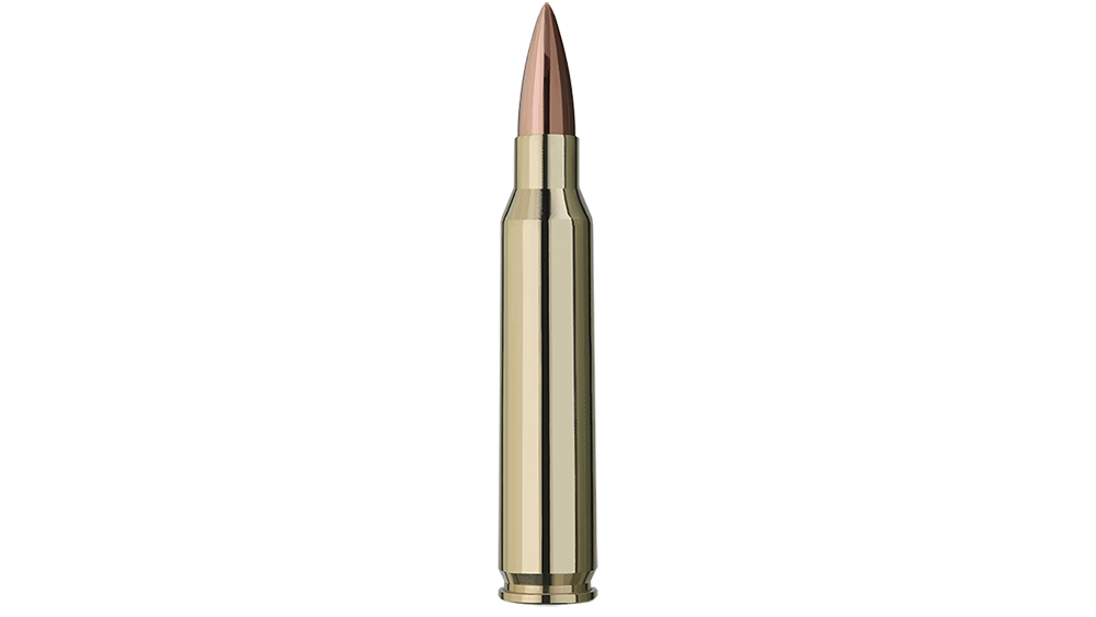 Cartridge of GECO .223 Rem. DTX 3,6g Single bullet view of GECO .223 Rem. DTX 3,6g